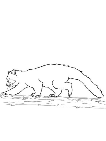 Red Panda Walking Coloring Page